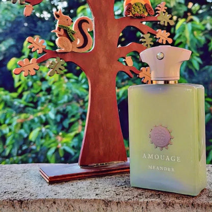 100ml AMOUAGE GUIDANCE 46 Parfum Long Lasting Oriental Woody Floral Spicy Fragrances Luxury Elegant Perfume Collection