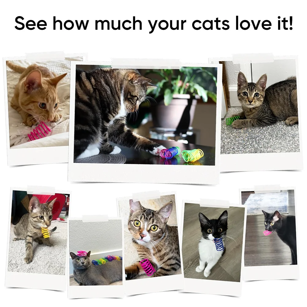 20/40/60pcs Interactive Cat Toys Set, Durable Plastic Spring Coils for Cats And Puppies,Fun Accessory for Pet Play And Exercise
