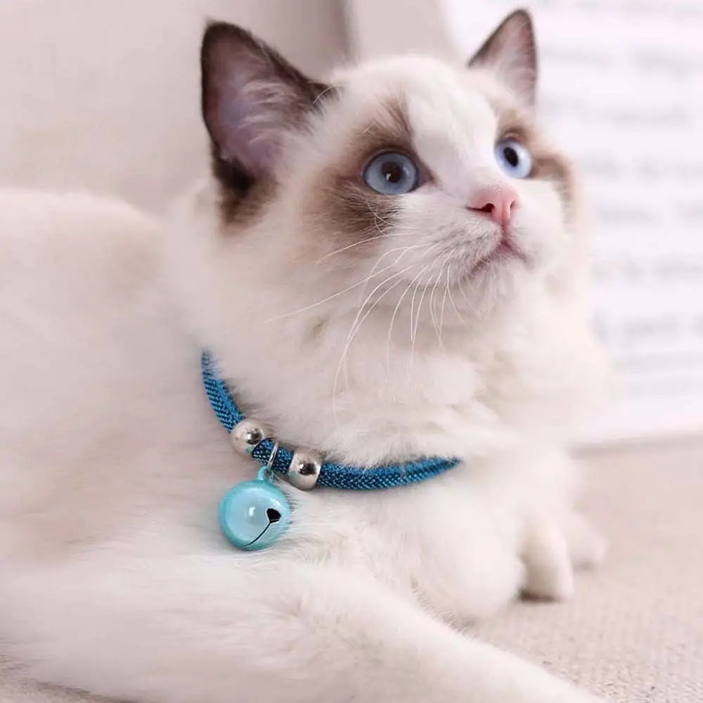 Fashion Easy Wear For Puppy Kitten Adjustable Cat Necklace Grooming Accessories Pet Collar Pet Supplies