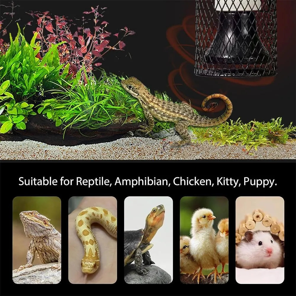 Reptile Lampshade and Holder, Basking Light, Amphibians Pets Health Products, Perfect for Terrariums