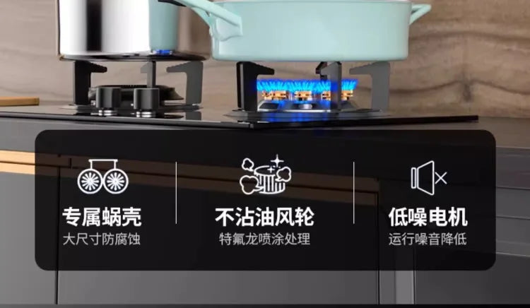 220V Haotaitai Double Motor Range Hood Kitchen Strong Suction Auto Clean Side Suction BBL
