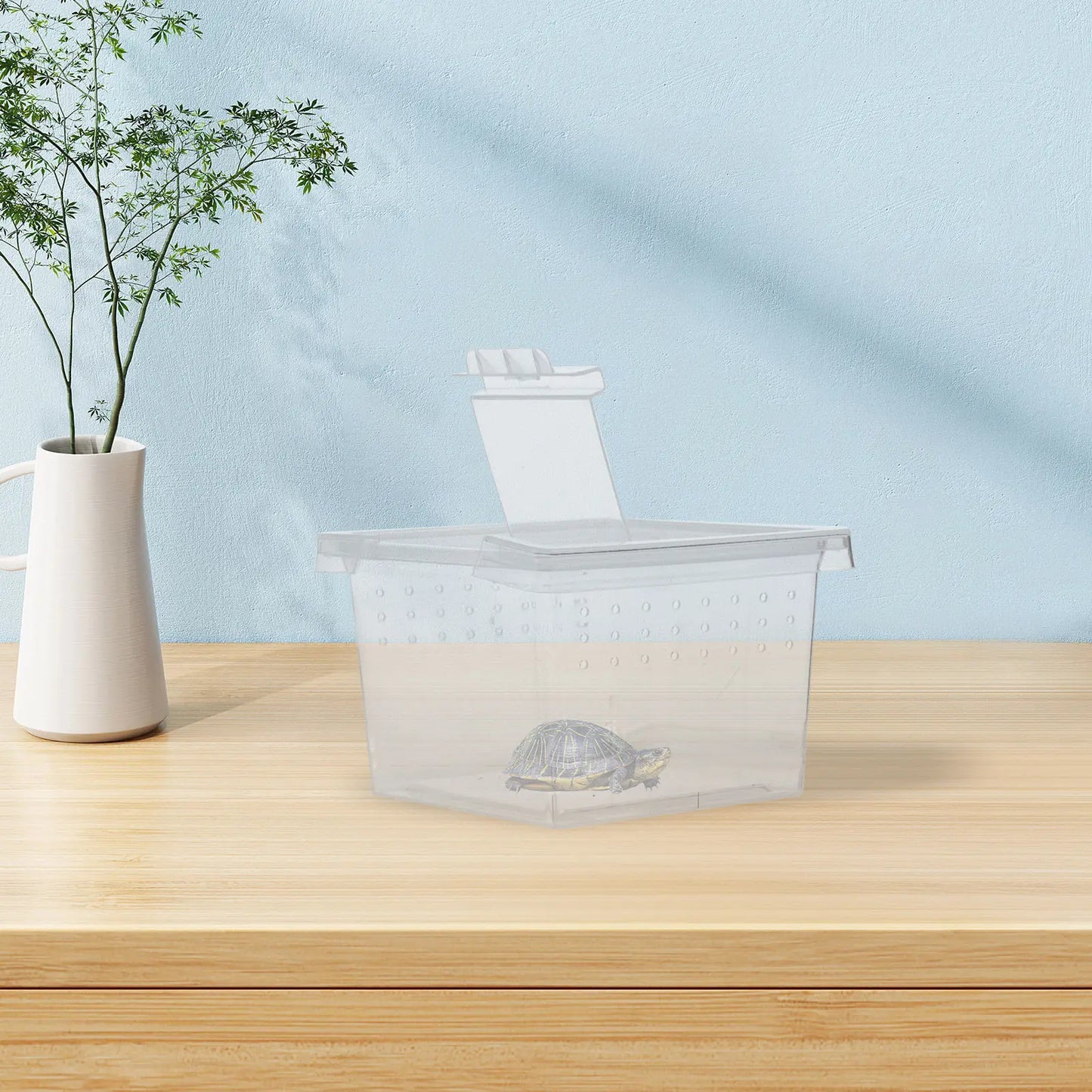 20Pcs Insect Observation Containers Clear Feeding Terrariums Portable Secure Small Habitat Enclosures for Spider Snail Tarantula