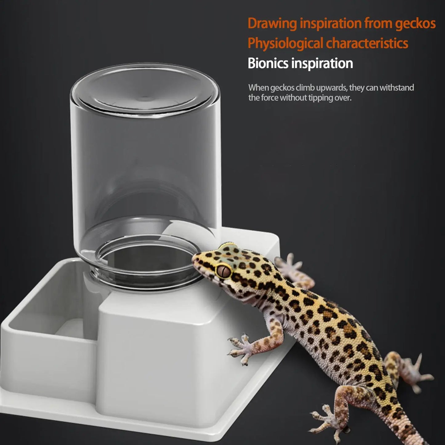 1pc Automatic Reptile Feeder Automatic Detachable Reptile Bowl Tortoise Water Dish Gecko Drink Dispenser For Lizard Chameleon