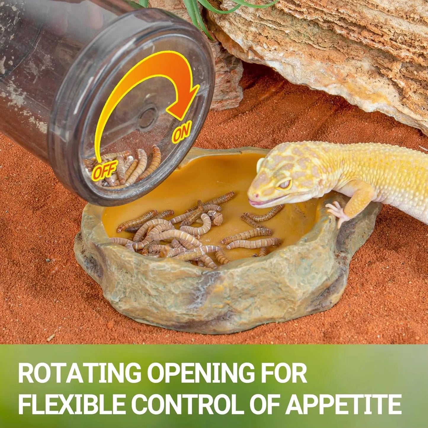 Reptile Calcium Powder Mixing Tray Cricket Feeding Tray Suitable for Geckos, Bearded Dragons and Lizards Feed Tray