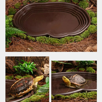 Reptile Bathing Dish Amphibians Habitat Reptile Tortoise Feeder  Water Food Bowl Feeding Dish for Bearded Dragons Turtle