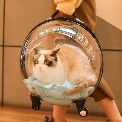 Portable Cat Bag for Going Out Large Capacity Transparent Breathable Pet Trolley Case Cat Travel Bag Pet Supplies Cat nest