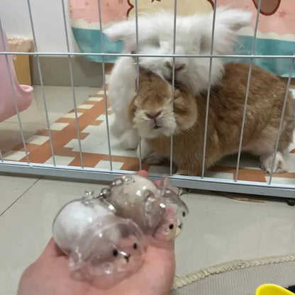 (HB05)Cartoon Pet Hair Memorial Transparent Storage Box Keyring Animal Rabbit Fur Organizer Keychain Bag Pendant Pet Souvenir
