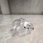 Cartoon Pet Hair Memorial Transparent Storage Box Keyring Cute Animal Rabbit Fur Organizer Keychain Bag Pendant Pet Souvenirs
