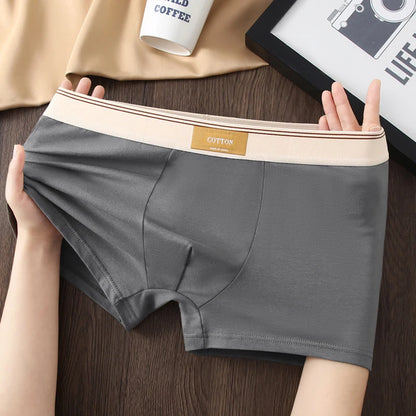 5Pcs/Lot Men Underwear Pure Cotton Boxer Shorts Hombre Panties Man Breathable Underpants Sexy Sports Comfort Male Boxers L-4XL