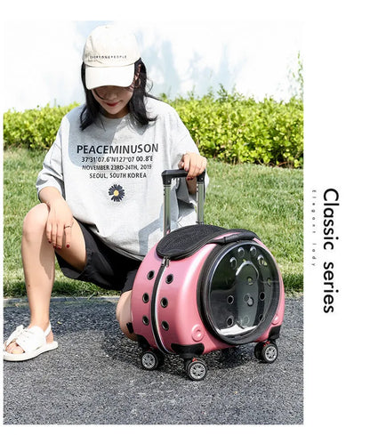 Pet Luggage, Transparent Space Capsule, Multi-purpose Backpack, Cat Bag, Large Capacity, Two Portable Small Dogs, Outdoor Bag