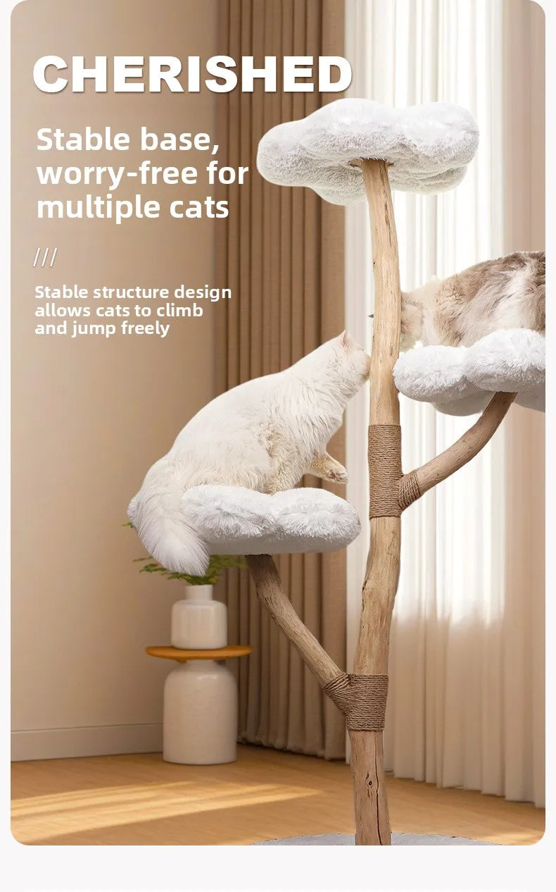 for Cloud Cat Climbing Frame Large Cat Tree Jumping Platform All-in-one Light-luxury Solid Wood Cat Shelf Nest
