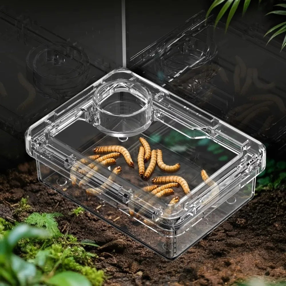 Reptile Lizards Geckos Feeding Bowls Anti Overturning Transparent Water Bowls Anti Escape