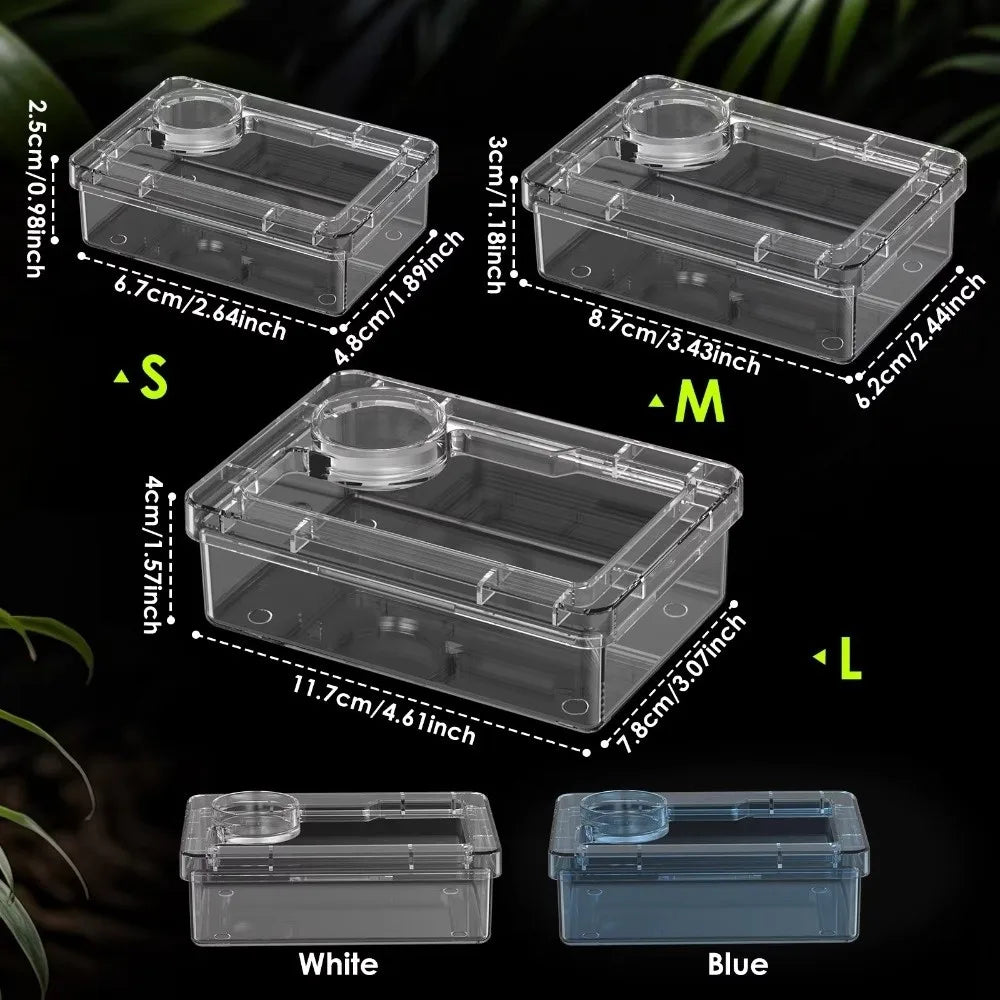 Reptile Lizards Geckos Feeding Bowls Anti Overturning Transparent Water Bowls Anti Escape