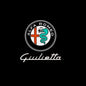 2X For Alfa Romeo Giulietta 940 2011 - 2022 2013 2015 2017 2018 2016 2019 Accessories LED Car Door Projector Logo Welcome Light