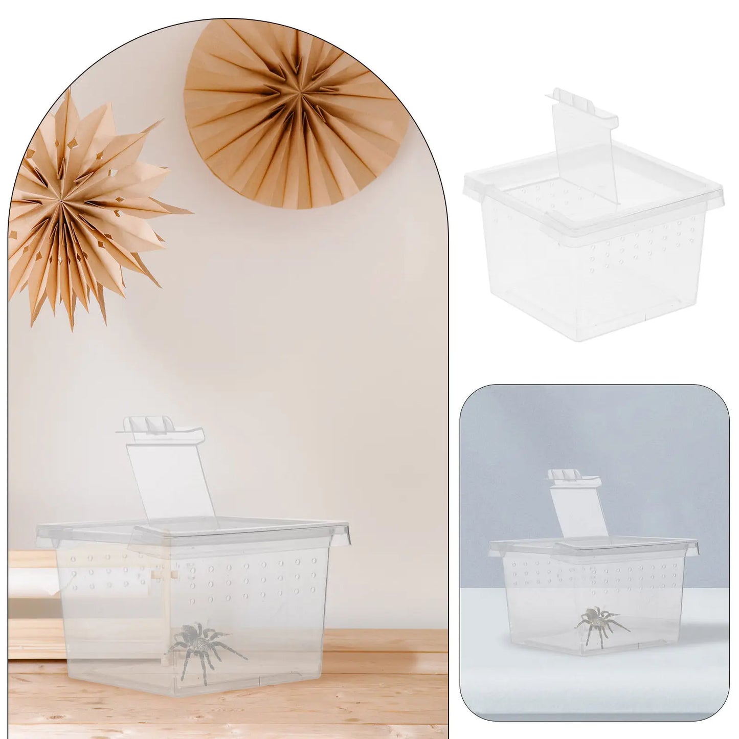 20Pcs Insect Observation Containers Clear Feeding Terrariums Portable Secure Small Habitat Enclosures for Spider Snail Tarantula