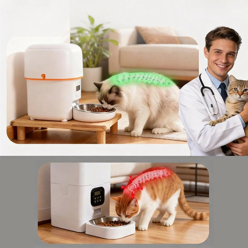 Elevated Cat Food Bowl Platform for Automatic Pet Feeders Raised Feeding Stand Pet Food Water Dispenser Platform for Cats Dogs Neck Protection Easy Assembly 34.3x20x6.1cm