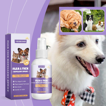 Pet Flea Spray Spray Effectively Removing Fleas Ticks Relieve Skin Itching Natural Ingredients Non Irritating Pet Flea Repellent