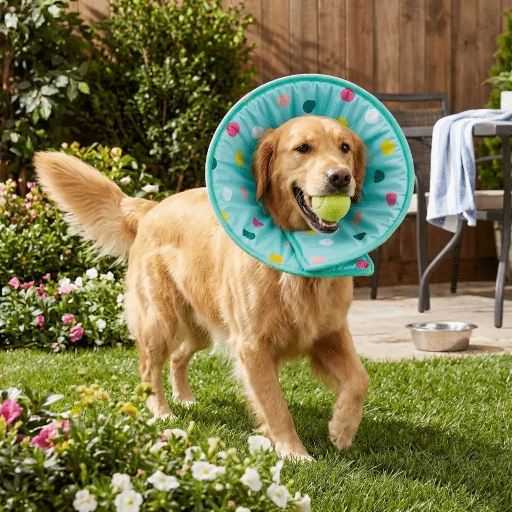 Anti Licking Pet Elizabethan Collar Soft Comfortable Cat Protective Collar Breathable Anti Scratch Anti Bite Collar