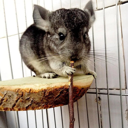 100% Natural Apple Branch Rabbit Chew Sticks Small Pet Chinchillas Netherlands Pig Hamster Bite Molars Clean Teeth Wooden Toys