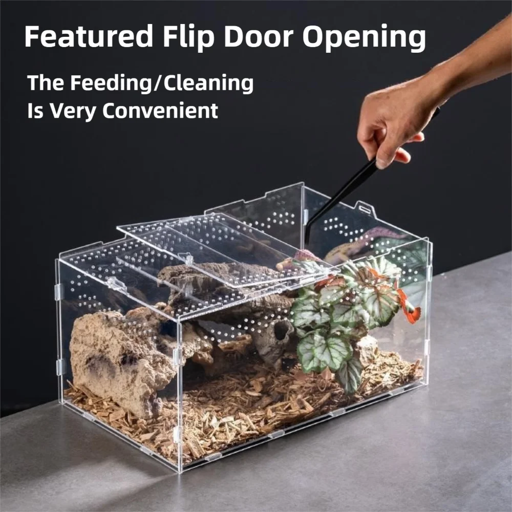 New Acrylic Reptile Habitat Anti-Escape Clear Spider Feeding Case Multiple Size Arboreal Small Pet Cage for Chameleon Clear