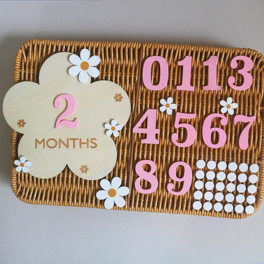 Wooden Flower Milestone Card Set, Wooden Milestone Birth Signs, Photography Milestone Cards, Growth Cards from 1 Month to 1 Year, Pregnancy Journey Milestone Photo Props, Christmas, New Year Gifts
