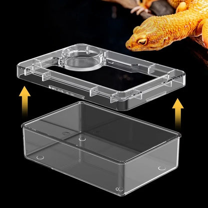 Reptile Lizards Geckos Feeding Bowls Anti Overturning Transparent Water Bowls Anti Escape