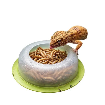 Anti Escape Reptile Feeding Dish Durable ABS Worm Food Bowl Easy Clean for Lizards Geckos Snakes Terrarium Tank