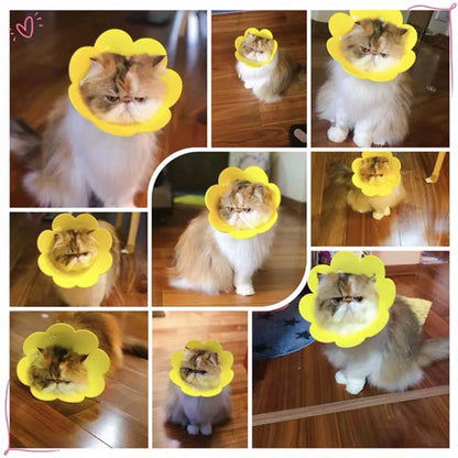 Pets Protective Collar EVA Soft Flower Shape Anti-lick Cats Dogs Wound Healing Protection Cover Anti-bite Animal Supplies