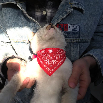 Adjustable Pet Puppy Cat Scarf Bandana Collar Neck Scarf For Small Dogs Kitten Saliva Towel PU Collar with Triangular Bandage
