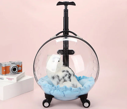Custom Luxury Transparent Capsule Pet Travel Trolley New Strollers for Puppies Dogs Cats Comfortable Carriers Bag Wheel Trolley