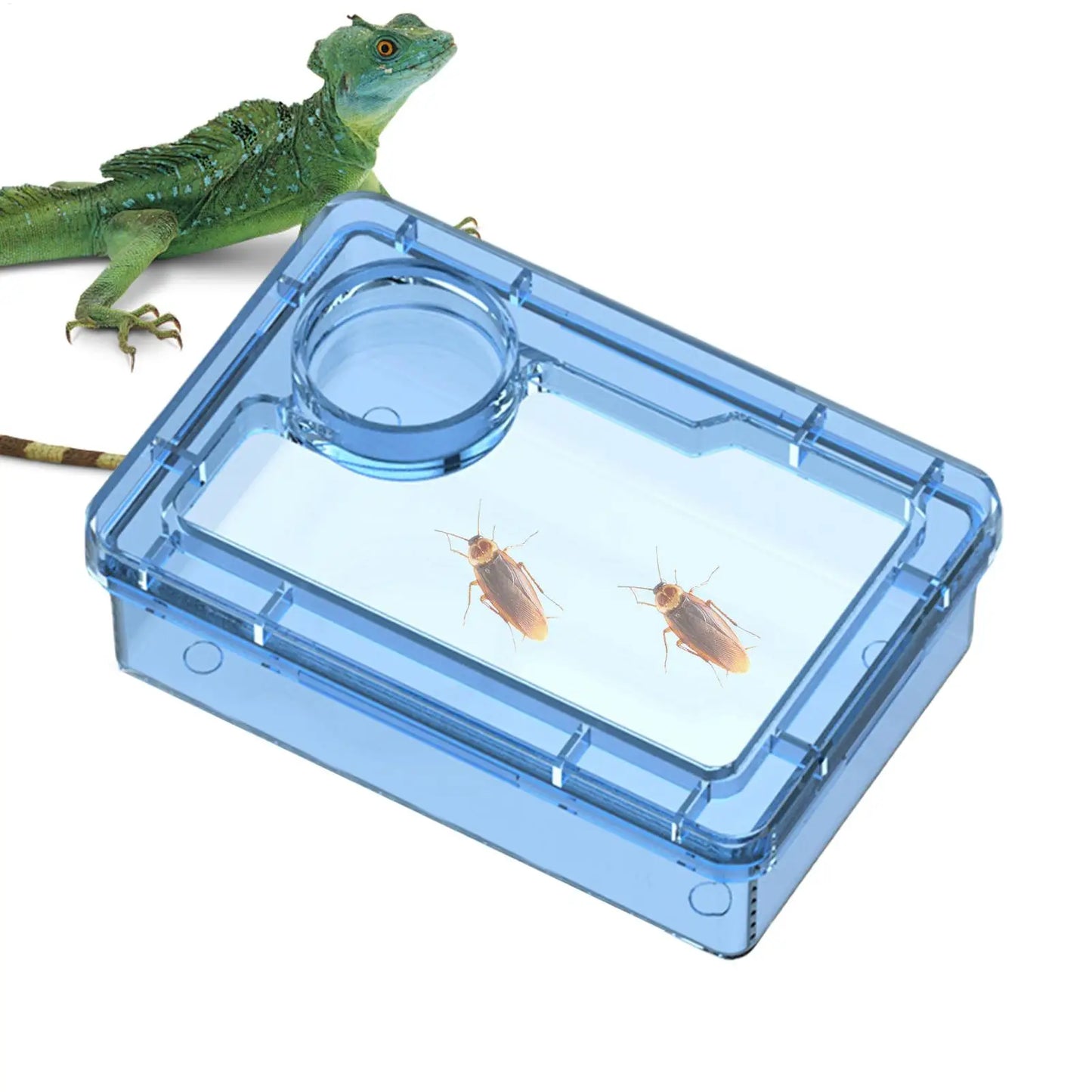 Reptile Lizards Geckos Feeding Bowls Prevent Tenebrio Molitor and Blaptica Dubia Anti Overturning Trough Feeder Transparent