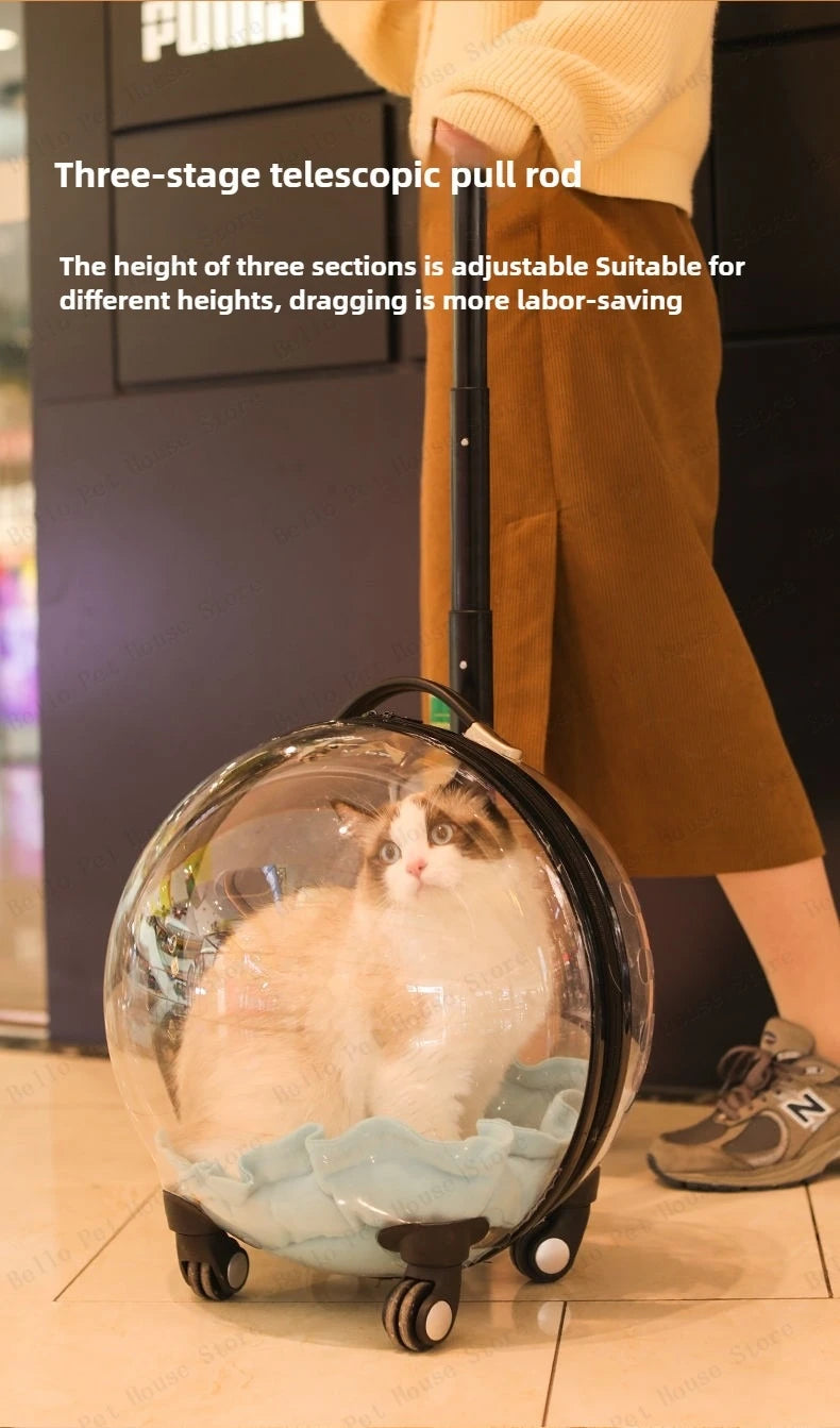 Portable Cat Bag for Going Out Large Capacity Transparent Breathable Pet Trolley Case Cat Travel Bag Pet Supplies Cat nest
