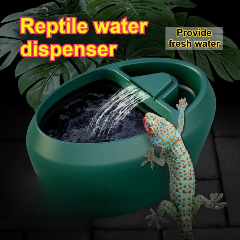 Reptile Water Dispenser Fountain Waterbowl with Food Storage Container Terrariums Accessories Feeding Supplies for Pet Chameleon
