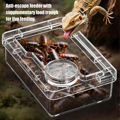Reptile Lizards Geckos Feeding Bowls Prevent Tenebrio Molitor and Blaptica Dubia Anti Overturning Trough Feeder Transparent