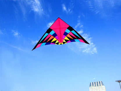 Free shipping large delta kites professional for adults kites flying toys sport kites windsurfing show kites fried flight kites