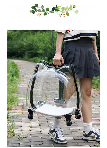 Pet Trolley Case, Fully Transparent Cat Case, Breathable Space Cabin Cat Bag, Outdoor Bag, Portable Small Dog Bag