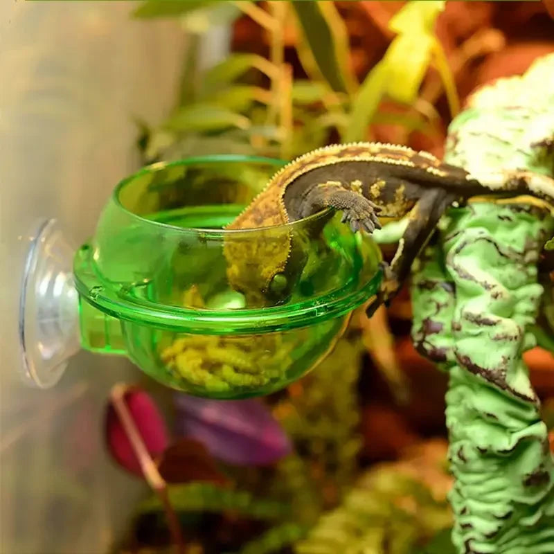 Reptile Pet Feeding Bowl Clear Anti-escape Pet Bowl Insect Worm Food Container Water Bowl for Lizard Gecko Chameleon Reptile Pet