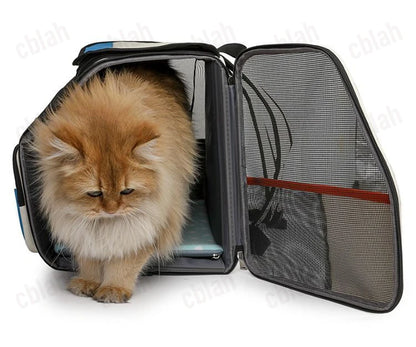 2-in-1 Rolling Pet Carrier Backpack with Wheels, Large Foldable Travel Bag for Dogs and Cats, Ventilated Backpack Carrier