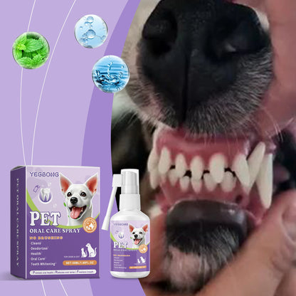 Pet Flea Spray Spray Effectively Removing Fleas Ticks Relieve Skin Itching Natural Ingredients Non Irritating Pet Flea Repellent