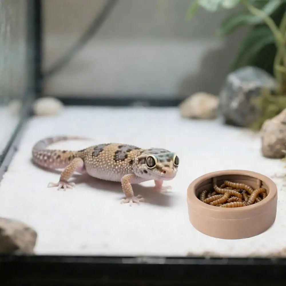 Portable Escape-Proof Reptile Food Dish Compact Multi-purpose Worm Water Dish Non-Tip Reptile Bowls Bearded Dragon