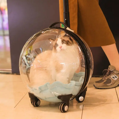 Portable Cat Bag for Going Out Large Capacity Transparent Breathable Pet Trolley Case Cat Travel Bag Pet Supplies Cat nest