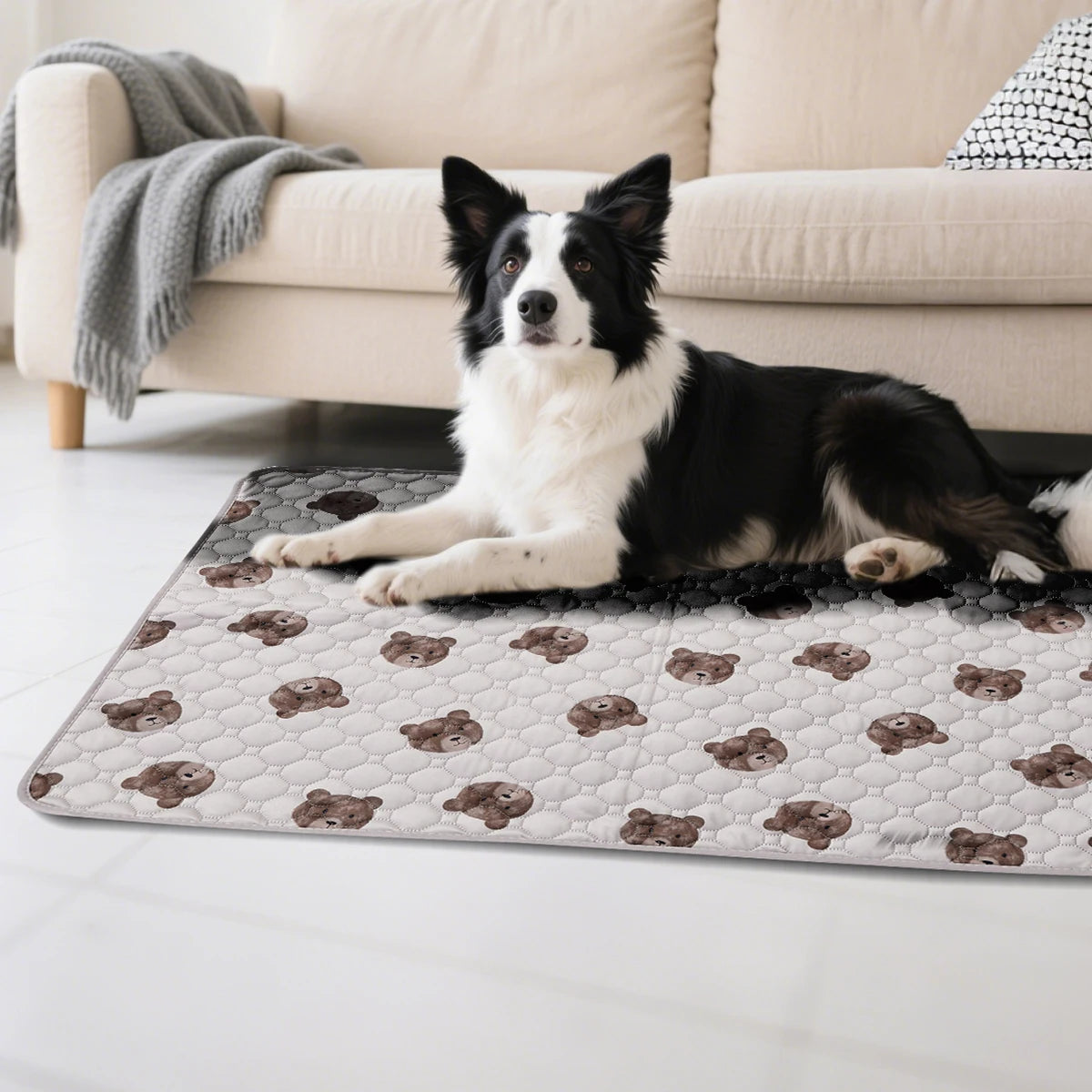 1PC Washable Reusable Pet Mat Training Pad, Suitable for Dogs and Cats, Non-Slip,Dog Cat Pad Blanket,  Pet Accessories
