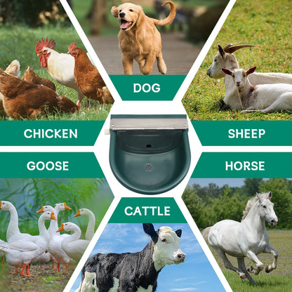 Automatic Farm Animal Water Bowl Durable Water Feeder Cow Drinking Tool for Sheep Goats Feeding Water Bowl Livestock Supplies