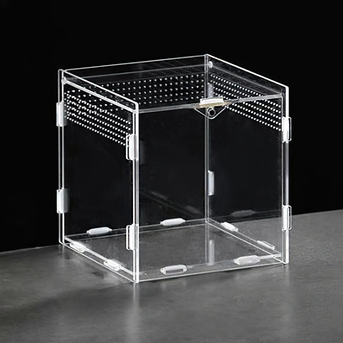 Clear Acrylic Reptile Feeding Box Stackable and Buckle Splicing Box for Scorpion Spider Frog
