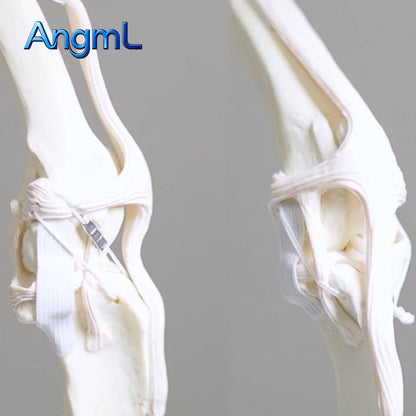 Pet Artificial Ligament System, Cruciate Ligament Repair, Break-Off Rivet Hip Dislocation, Animal Orthopedic Instruments