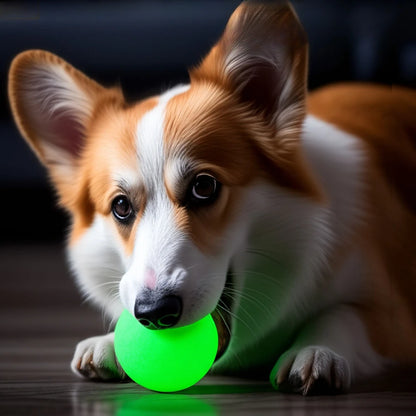 2PCS Dog Chew Toys Ball - Glow in The Dark, Durable for Teething, Pet Molar Toy To Relieve Boredom, Puppy Chew Supplies