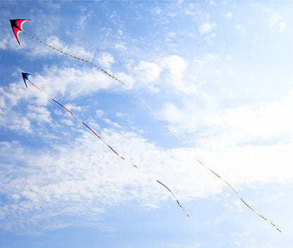 Giant kites tails flying toys for adults kites windsocks kites factory beach accessories toy ripstop fabric wind kites pipa