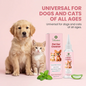 Pet Ear Cleaner Remove Earwax & Ear Mites Relieve Itching & Discomfort Reduce Inflammation Gentle Pet Ear Care Cleansing Drops
