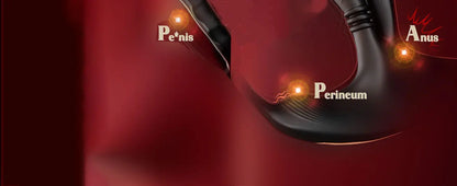 360° Circular Kneading Anal Vibrator Male Prostate Massager with Cock Ring 3 in 1 L-Shaped Vibrators Adult Anal Sex Toy for Gay
