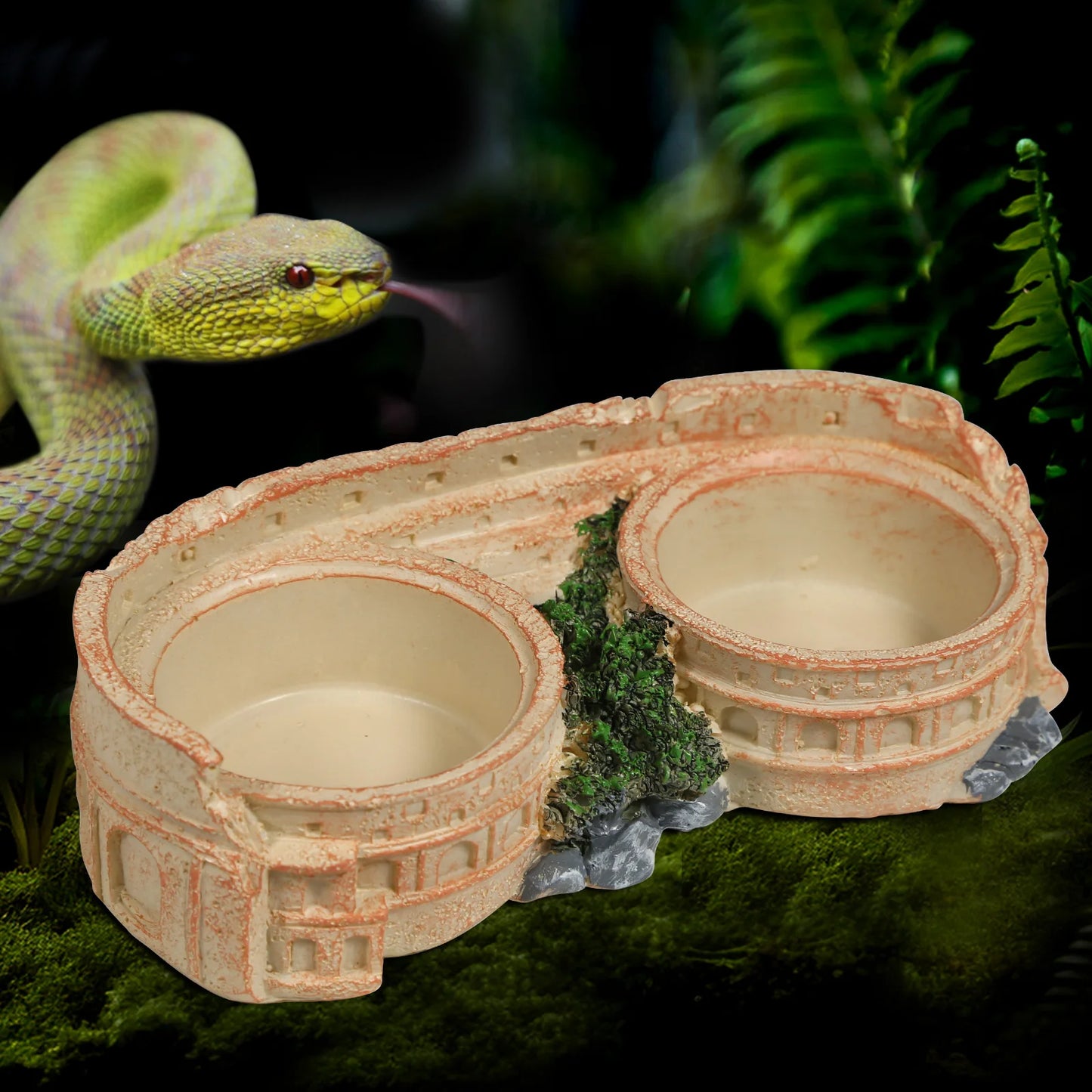 Two-in-One Reptile Food and Water Bowl, resin material, includes 2 easy-clean plastic bowls, suitable for lizards, geckos